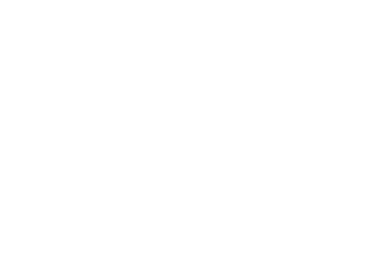 Nobel Sport